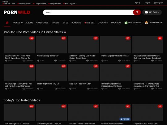 PornWild